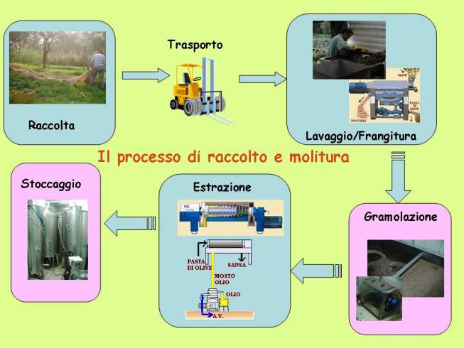il processo di molitura