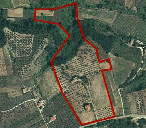 svito2